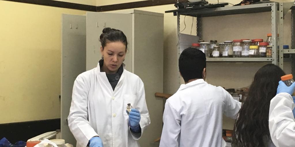 pati no lab_escola 2