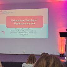 c55d6b6d-4d69-428e-81eb-1979baeaeae4 c55d6b6d-4d69-428e-81eb-1979baeaeae4